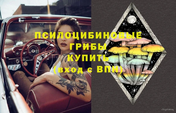 дживик Алексин