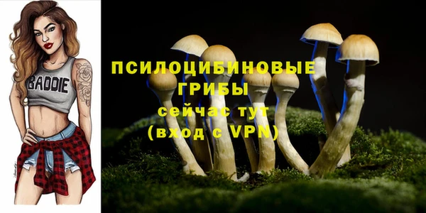 спайс Алзамай