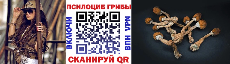 наркота  Геленджик  Галлюциногенные грибы Magic Shrooms 