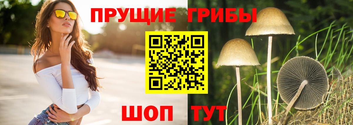 Псилоцибиновые грибы мухоморы Геленджик