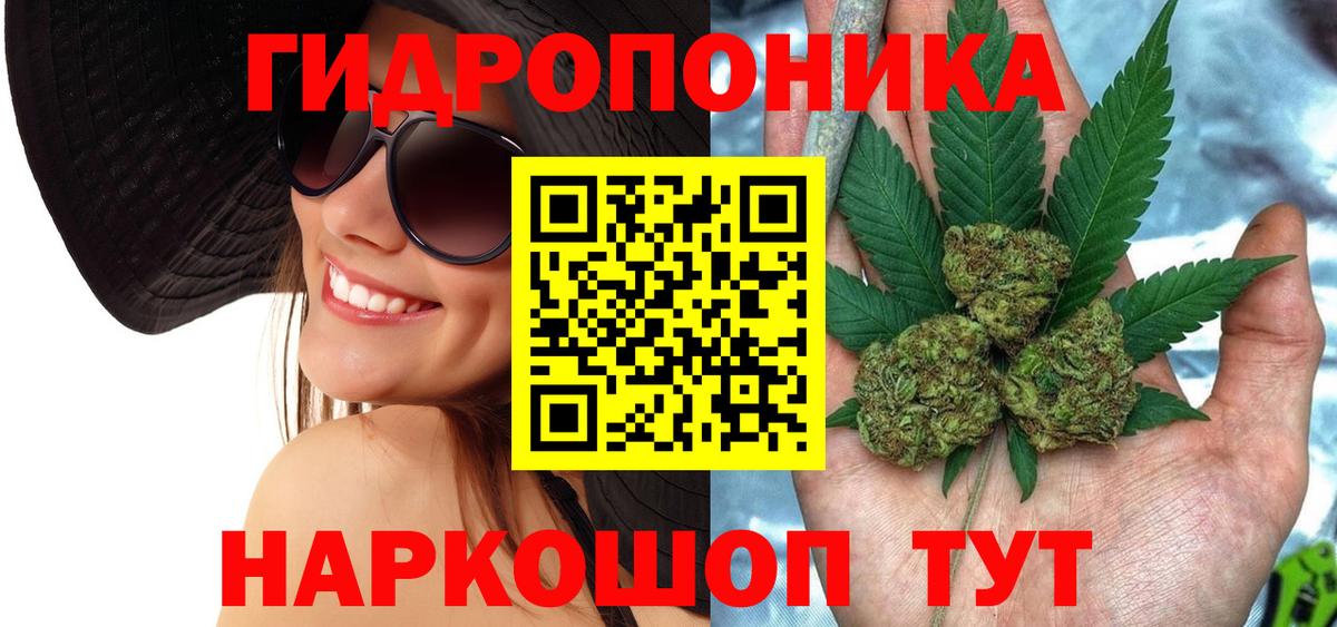 Канабис OG Kush Геленджик